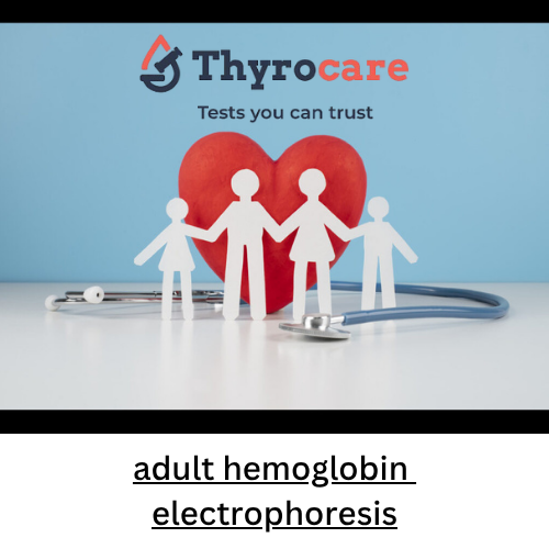 adult hemoglobin electrophoresis