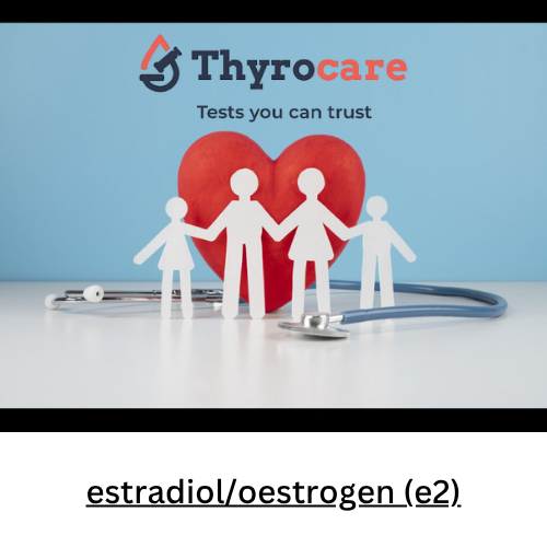 estradiol/oestrogen (e2)