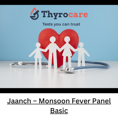Jaanch - Monsoon Fever Panel Basic